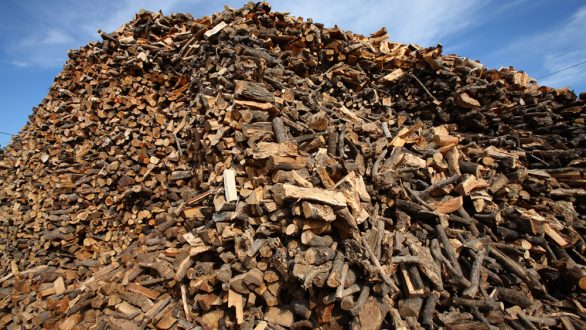 Την προσοχή στην αγορά καυσόξυλων εφιστά το σωματείο πωλητών δασικών προϊόντων Έβρου