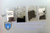 Συλλήψεις για κατοχή ναρκωτικών στο λιμάνι της Αλεξανδρούπολης