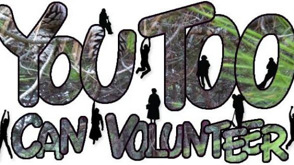 “Βραδιά Εθελοντισμού” από το Δήμο Διδυμοτείχου για τους εθελοντές της Τσίγγλας