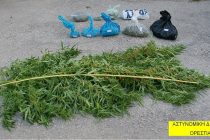 Σύλληψη για καλλιέργεια δενδρυλλίου κάνναβης και κατοχή ναρκωτικών .