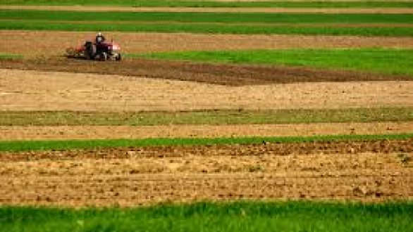 Μέσα στο φθινόπωρο αναμένεται να προκηρυχθεί το πρόγραμμα «Νέοι Αγρότες 2013»