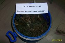 Με ναρκωτικά και όπλα συνελήφθησαν ένας 27χρονος και ένας 25χρονος στην Ροδόπη