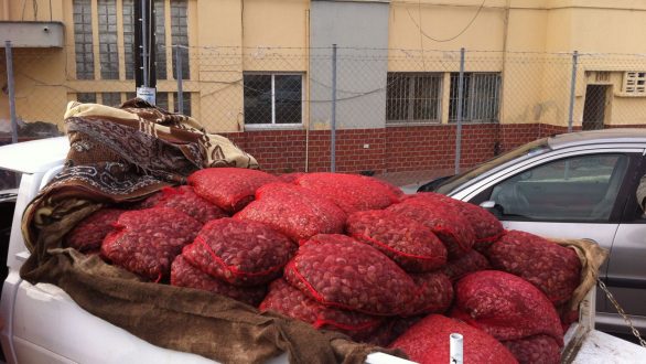 Σύλληψη 36χρονού για παράνομη μεταφορά οστράκων που προοριζόταν για εμπορία.