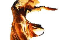 Φιλανθρωπική συναυλία από τον Νομαρχιακό Σύλλογο Ατόμων με Αναπηρία Έβρου