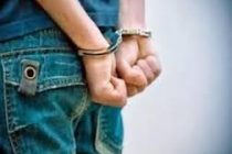 Συλλήψεις 7 διακινητών με 20 άτομα σε Έβρο και Ροδόπη