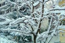 Κλειστά τα σχολεία την Δευτέρα !