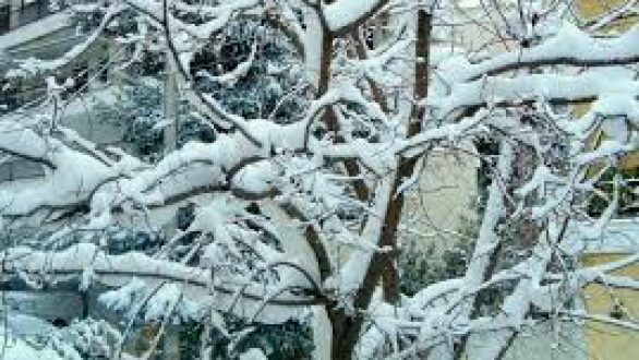 Κλειστά τα σχολεία την Δευτέρα !