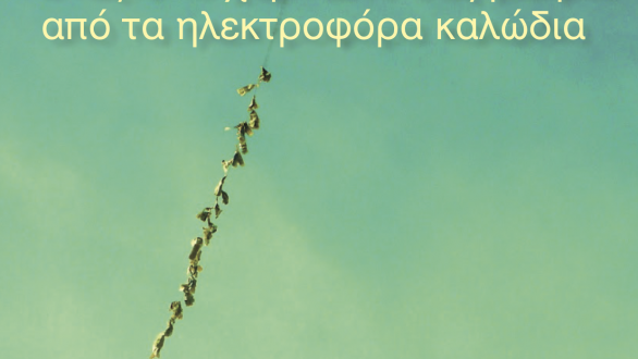 Την προσοχή στο πέταγμα των χαρταετών εφιστά η ΔΕΔΔΗΕ