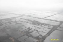 Γ.Παυλίδης – Τενάγη Φιλίππων: Η αδιαφορία για το πρόβλημα ξαναεπιβεβαιώνεται.