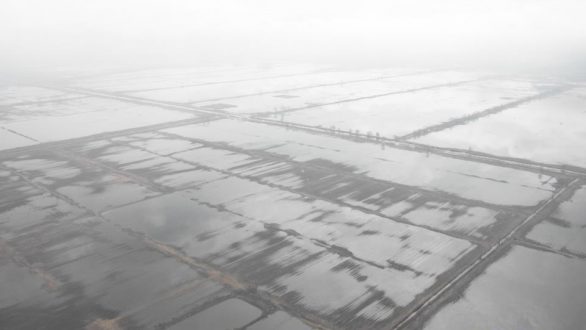 Γ.Παυλίδης – Τενάγη Φιλίππων: Η αδιαφορία για το πρόβλημα ξαναεπιβεβαιώνεται.