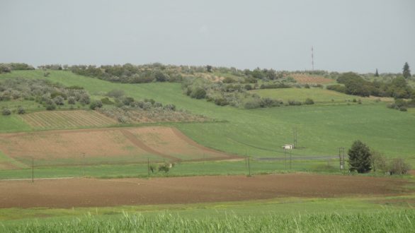 Παράταση αιτήσεων για το πρόγραμμα μικρών γεωργικών εκμεταλλεύσεων