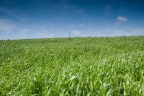 Ημερίδα με θέμα:Η Περιβαλλοντική Εκπαίδευση στα Σχολικά Προγράμματα.