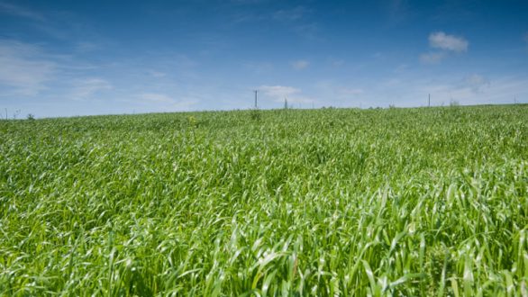 Ημερίδα με θέμα:Η Περιβαλλοντική Εκπαίδευση στα Σχολικά Προγράμματα.