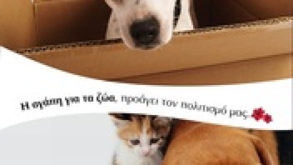 Γενική Συνέλευση Φιλοζωικού Σωματείου “Κιβωτός” Αλεξανδρούπολης