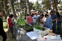 Στις 11 Μαΐου η  “4η γιορτή σπόρων και παραδοσιακών ποικιλιών”