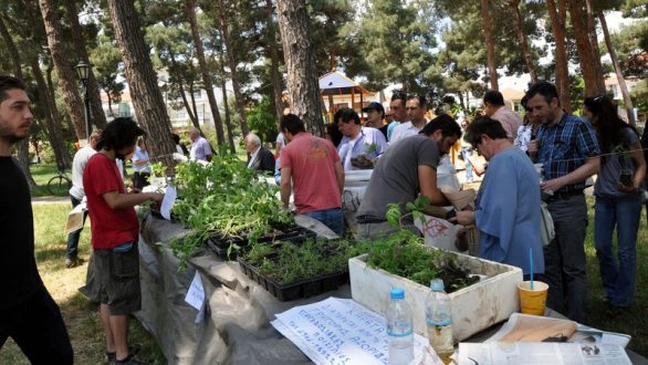 Στις 11 Μαΐου η  “4η γιορτή σπόρων και παραδοσιακών ποικιλιών”
