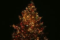 Την Κυριακή η φωταγώγηση του Χριστουγεννιάτικου Δένδρου στην Ορεστιάδα