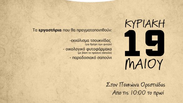 Αυτή την Κυριακή η 3η γιορτή σπόρων και παραδοσιακών ποικιλιών