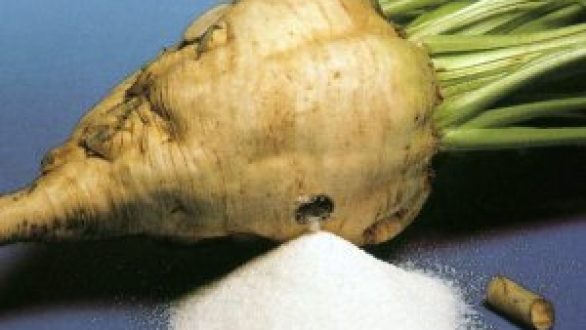 Δερμεντζόπουλος: “Όμηροι της αναλγησίας της κυβέρνησης οι εργαζόμενοι της Ελληνικής Βιομηχανίας Ζάχαρης”