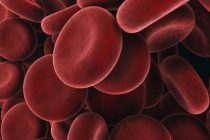 Έκκληση για αιμοπετάλια από τον Σύλλογο Εθελοντών Αιμοδοτών Αλεξανδρούπολης