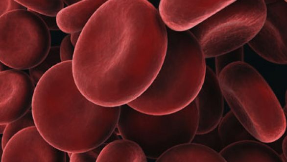 Εκδηλώσεις για τα 30 έτη λειτουργίας της Αιματολογικής Κλινικής του Π.Γ.Ν. Αλεξανδρούπολης