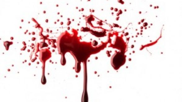 Φονικό στην Ορεστιάδα,29χρονη σκότωσε τον εν διαστάσει σύζυγο της στον κάμπο