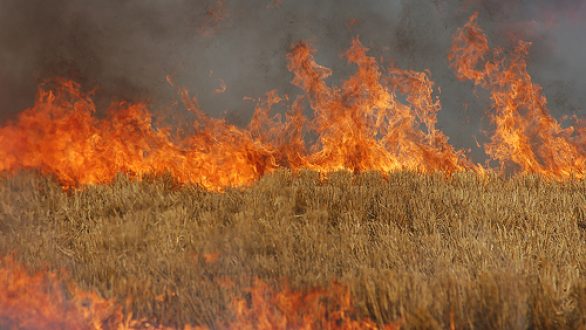 Αποπνικτική η ατμόσφαιρα στην Ορεστιάδα λόγω καύσης σιτοκαλαμιών