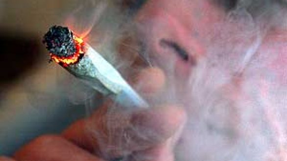 Συλληψη 21χρονης για παραβαση του ν. Περι ναρκωτικων στην Αλεξ/πολη