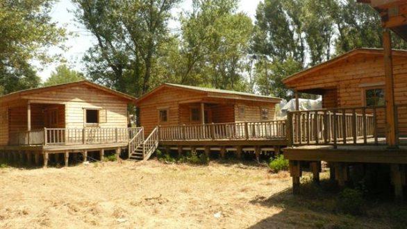 Σήμερα στις 18:00 η μεγάλη συγκέντρωση για το παρόχθιο δάσος Καστανεών