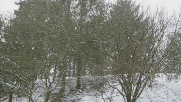 Έντονες χιονοπτώσεις στον Δήμο Ορεστιάδας