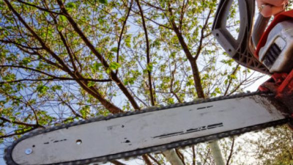 Επιτέθηκε σε αστυνομικούς της ομάδας ΔΙ.ΑΣ. με αλυσοπρίονο. Ομάδα 30 ατόμων προσπάθησε να τον απελευθερώσει από τη σύλληψη