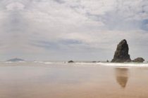 Επιμορφωτική ημερίδα του Συνδέσμου Κοινωνικών Λειτουργών Ελλάδος στην Αλεξανδρούπολη