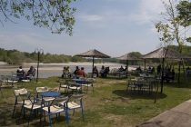 Φωτιά στο Αναψυκτήριο Καστανεών(Video)