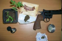 Σύλληψη πέντε ατόμων για καλλιέργεια φυτών κάνναβης