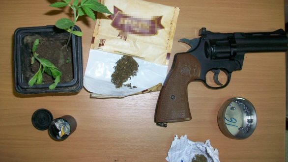Σύλληψη πέντε ατόμων για καλλιέργεια φυτών κάνναβης