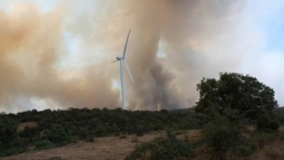 Πυρ… και μήνυση: Στα μαχαίρια ο Ε. Λαμπάκης με τον Εκπρόσωπο της Πυροσβεστικής