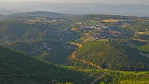 Προσπαθούν να περάσουν τα χρυσωρυχεία στα ‘μουλωχτά’ μέσω fast track?