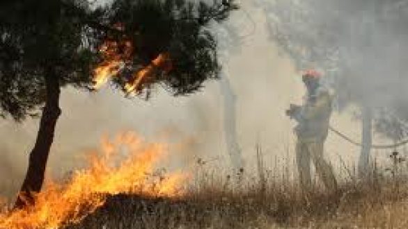 Υψηλός κίνδυνος πυρκαγιάς σε όλη τη Θράκη για σήμερα
