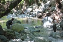 Διερεύνηση της ποιότητας των εσωτερικών υδάτων της Σαμοθράκης