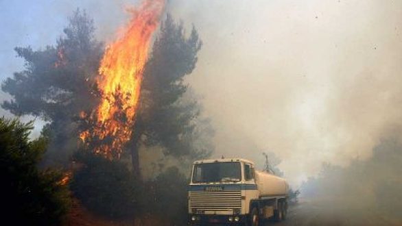 Σύγκλιση Συντονιστικού Τοπικού Οργάνου (Σ.Τ.Ο) Δήμου Αλεξ/πολης, Αντιμετώπισης κινδύνου Δασικών Πυρκαγιών έτους 2014