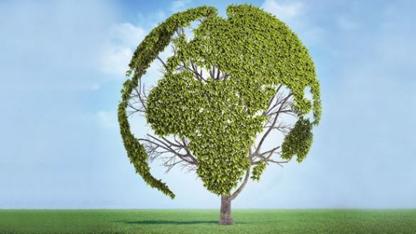 Παγκόσμια Ημέρα Περιβάλλοντος Σήμερα(η GREENPEACE μιλάει στο Ράδιο Έβρος)