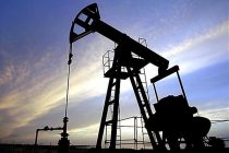Αίτημα από την αμερικανική Cub Energy για έρευνες πετρελαίου στον Έβρο