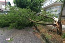 Σοβαρά προβλήματα άφησε η απογευματινή νεροποντή στον Έβρο