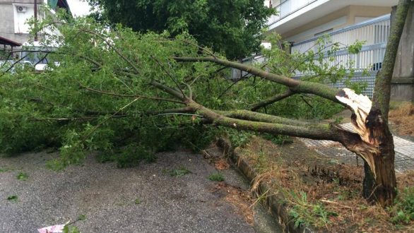 Σοβαρά προβλήματα άφησε η απογευματινή νεροποντή στον Έβρο