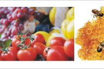 Απολογισμός της 11ης Γιορτή Βιοκαλλιεργητών &  Μελισσοκόμων