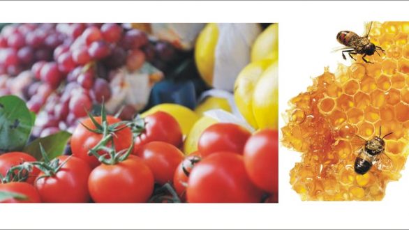 11η Γιορτή Βιοκαλλιεργητών και Μελισσοκόμων