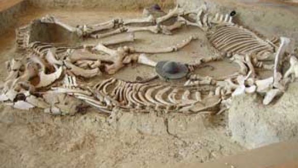 Η Αμφίπολη προχωρά, η Δοξιπάρα «κόλλησε»