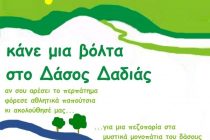 Κάνε μια βόλτα στο Δάσος της Δαδιάς