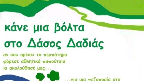 Κάνε μια βόλτα στο Δάσος της Δαδιάς