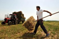 Έως 42.500 ευρώ η επιδότηση νέων αγροτών με το πρόγραμμα «Εγκατάσταση Γεωργών Νεαρής Ηλικίας»